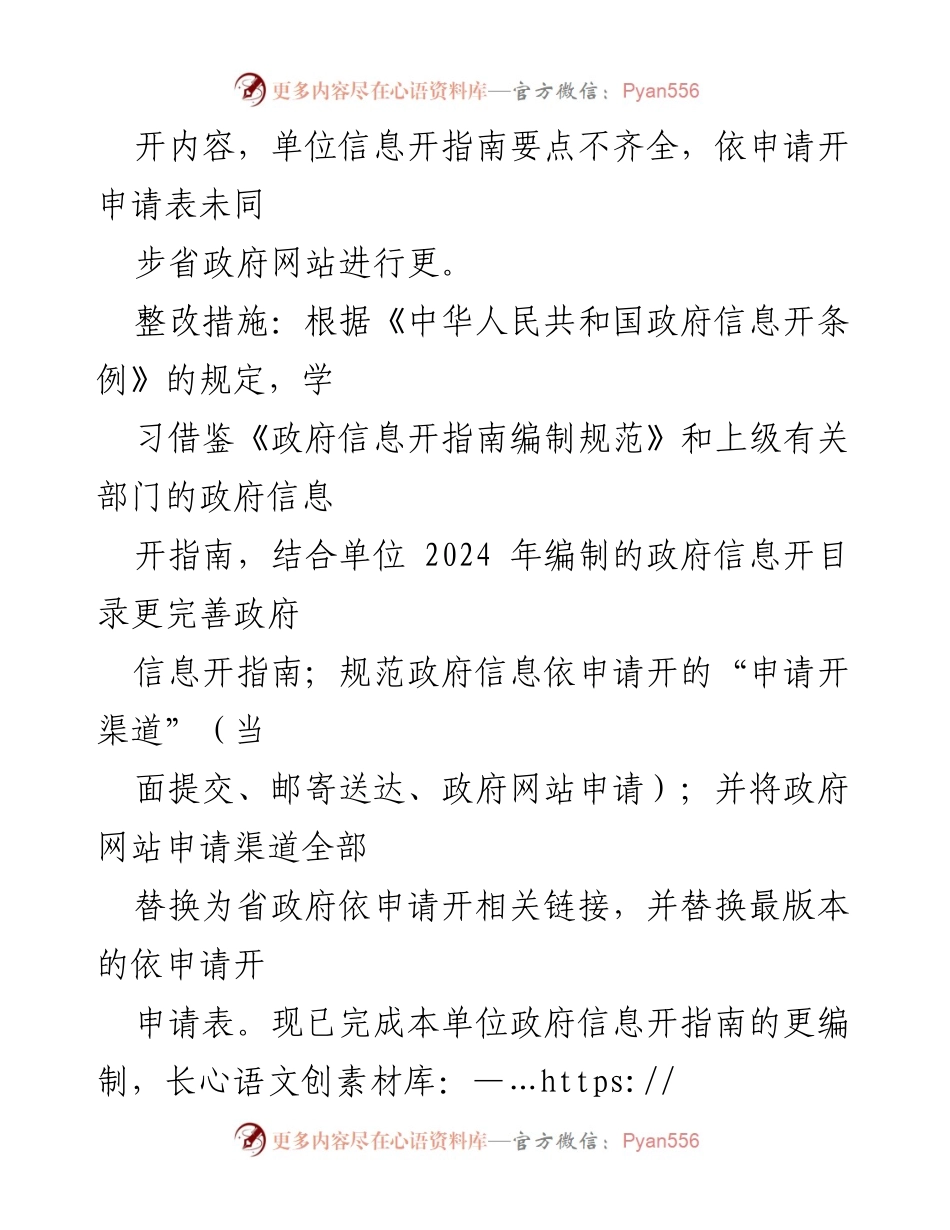 [工作总结] 政务整改 - 2024年度政务公开问题整改落实情况报告.docx_第2页