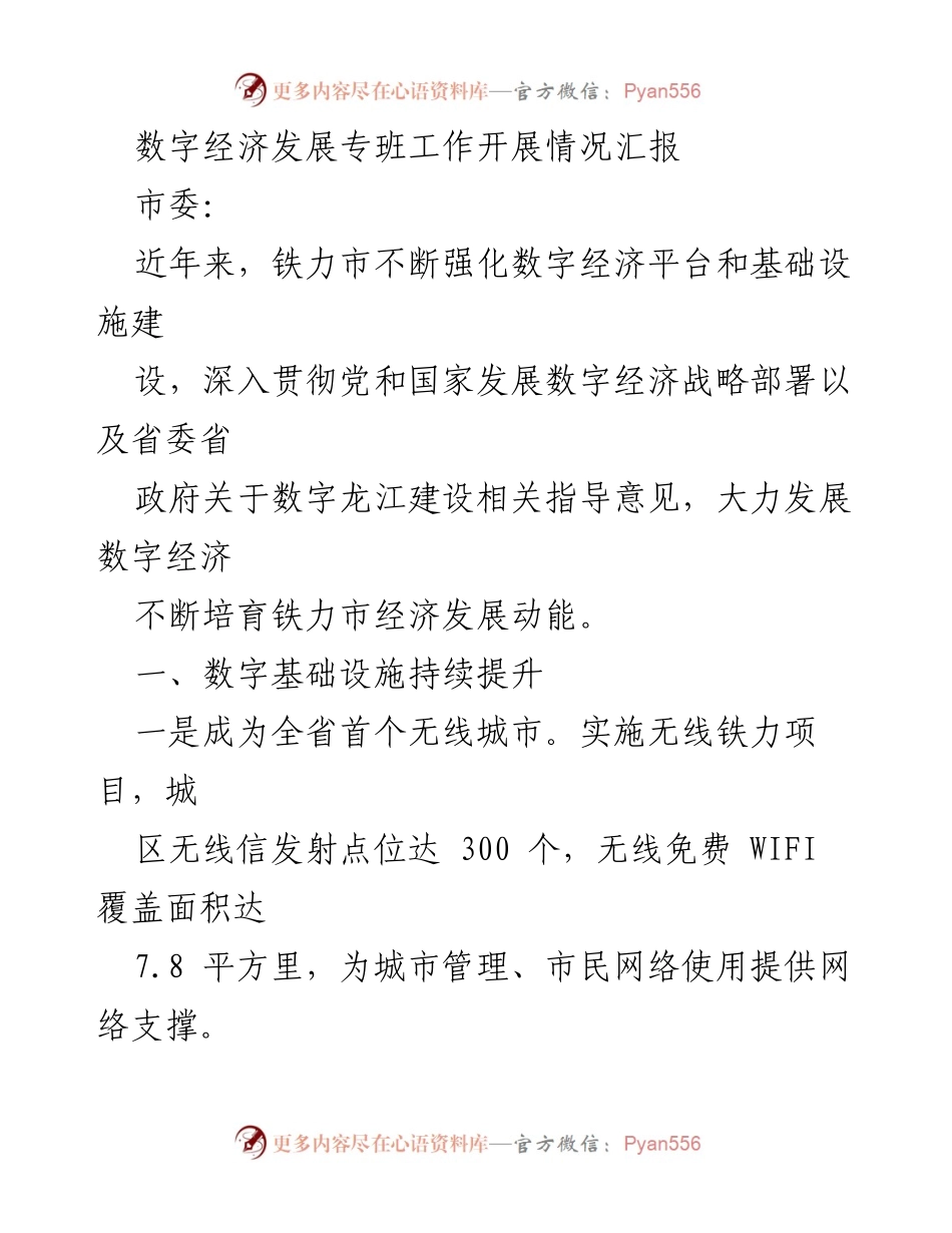 [工作总结] 数字经济发展专班 - 铁力市数字经济发展工作开展情况汇报.docx_第1页