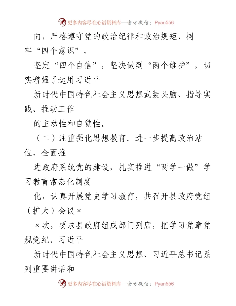 [工作总结] 政府党内建设 - 加强政治纪律与责任落实的工作总结.docx_第1页
