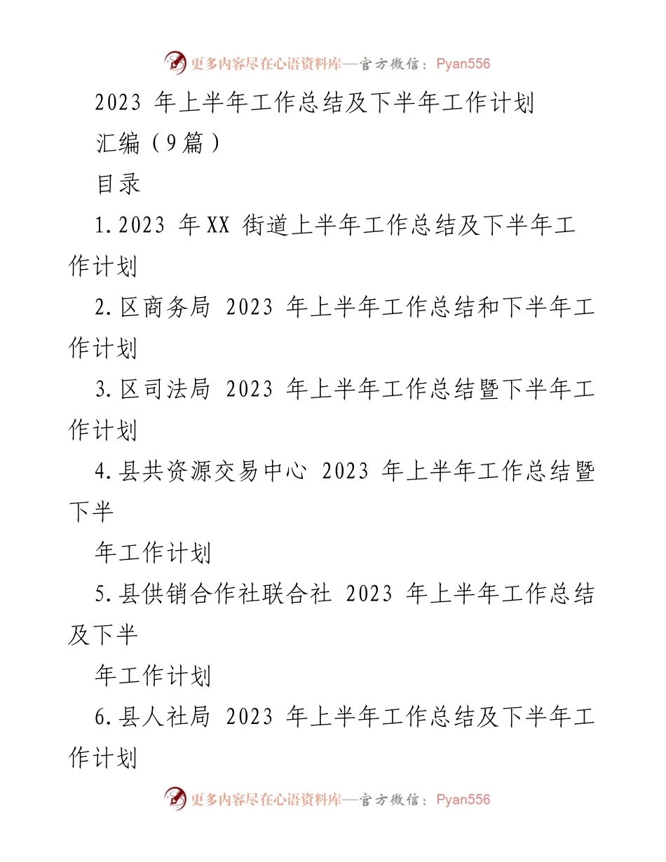 [工作总结] 政府部门 - 2023年上半年工作总结及下半年工作计划汇编.docx_第1页