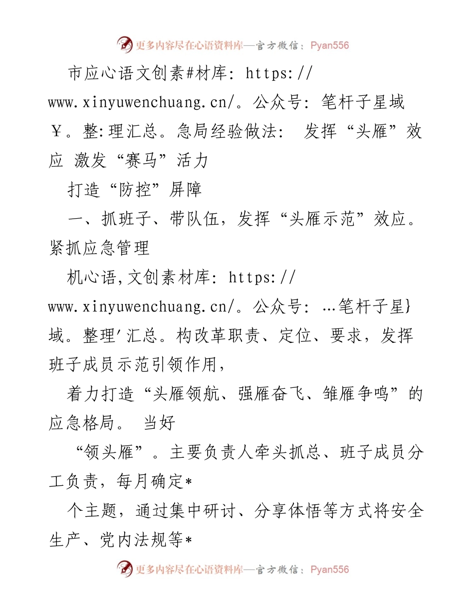 [工作总结] 应急管理 - 发挥“头雁”效应 激发“赛马”活力.docx_第1页