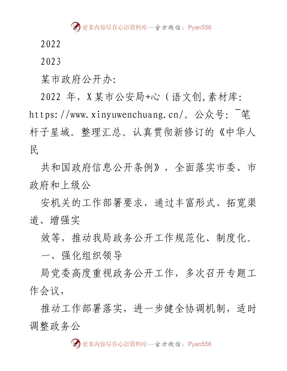[工作总结] 政务公开 - 2022年某市公安局政务公开工作总结与展望.docx_第1页