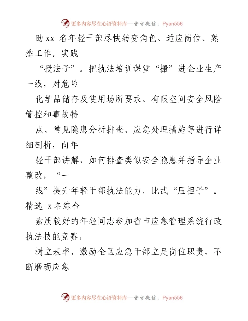 [工作总结] 应急管理局 - 培养年轻干部的经验与做法.docx_第2页