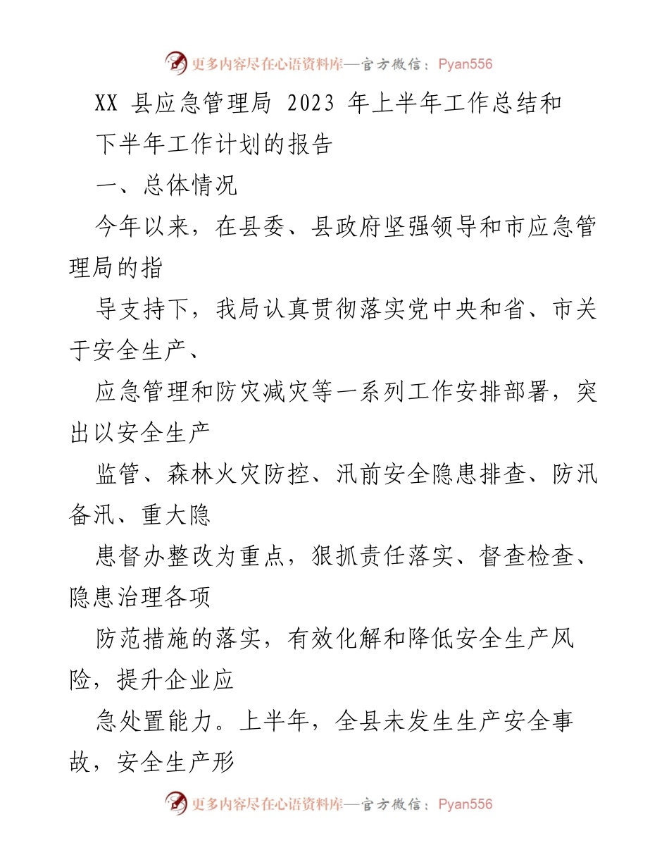 [工作总结] 应急管理局 - 2023年上半年工作总结与下半年工作计划报告.docx_第1页