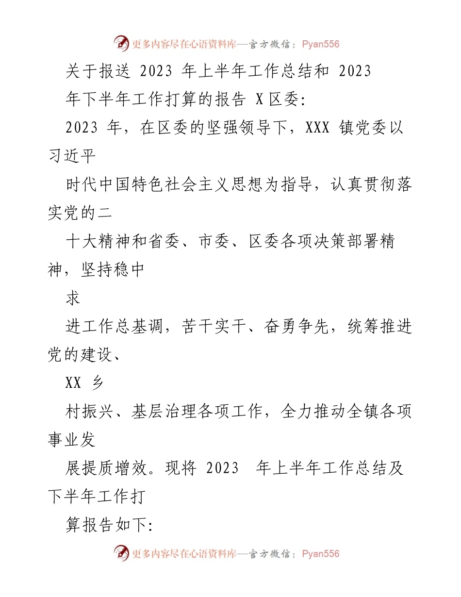 [工作总结] 政府工作 - 2023年上半年工作总结及下半年工作计划报告.docx_第1页