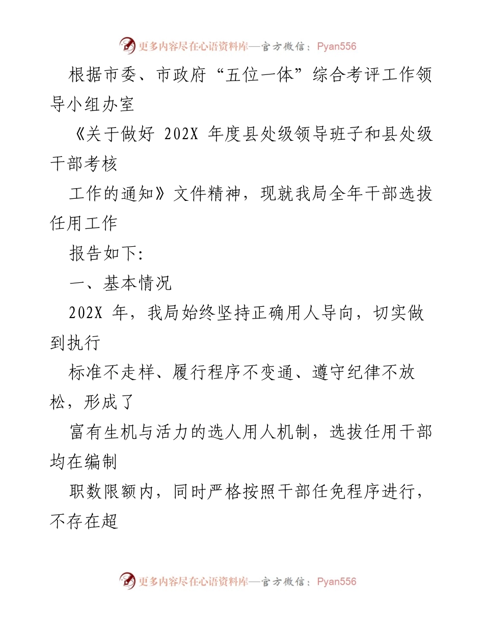 [工作总结] 文化和旅游局 - 202X年度干部选拔任用工作总结报告.docx_第2页