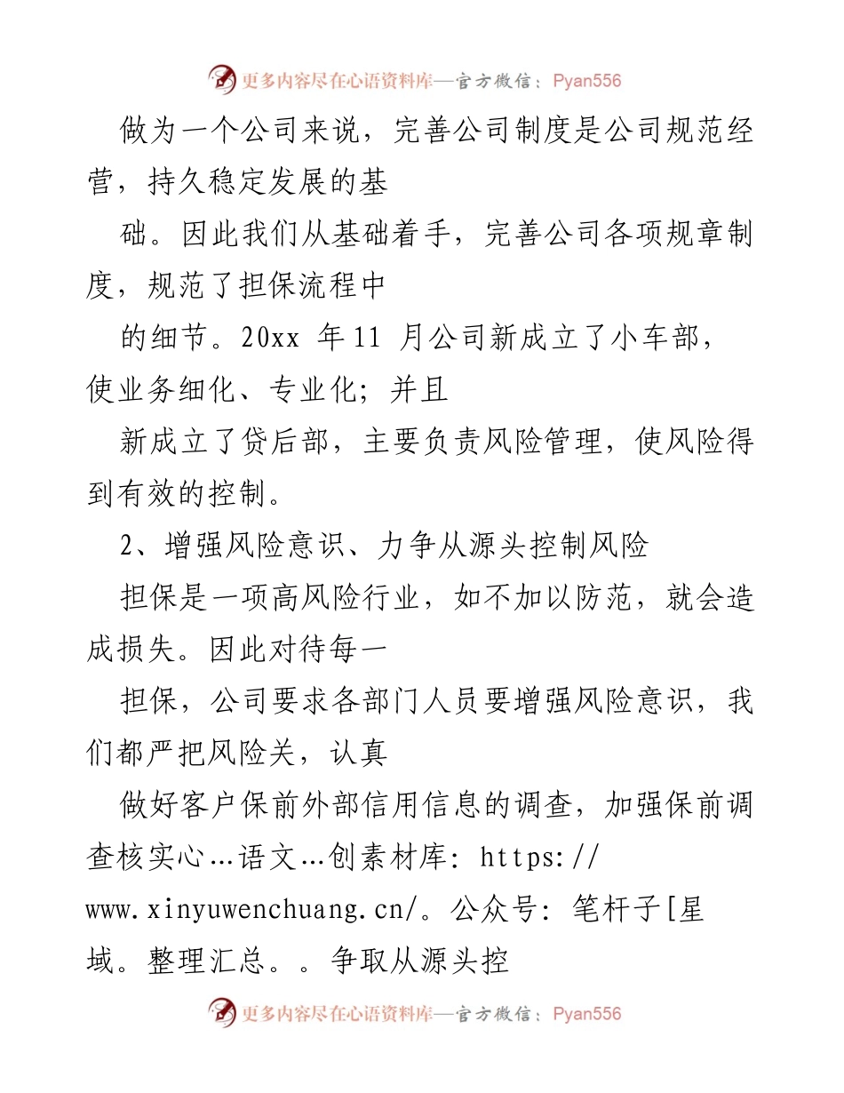 [工作总结] 年终总结 - 初入担保行业的工作体会与反思.docx_第2页