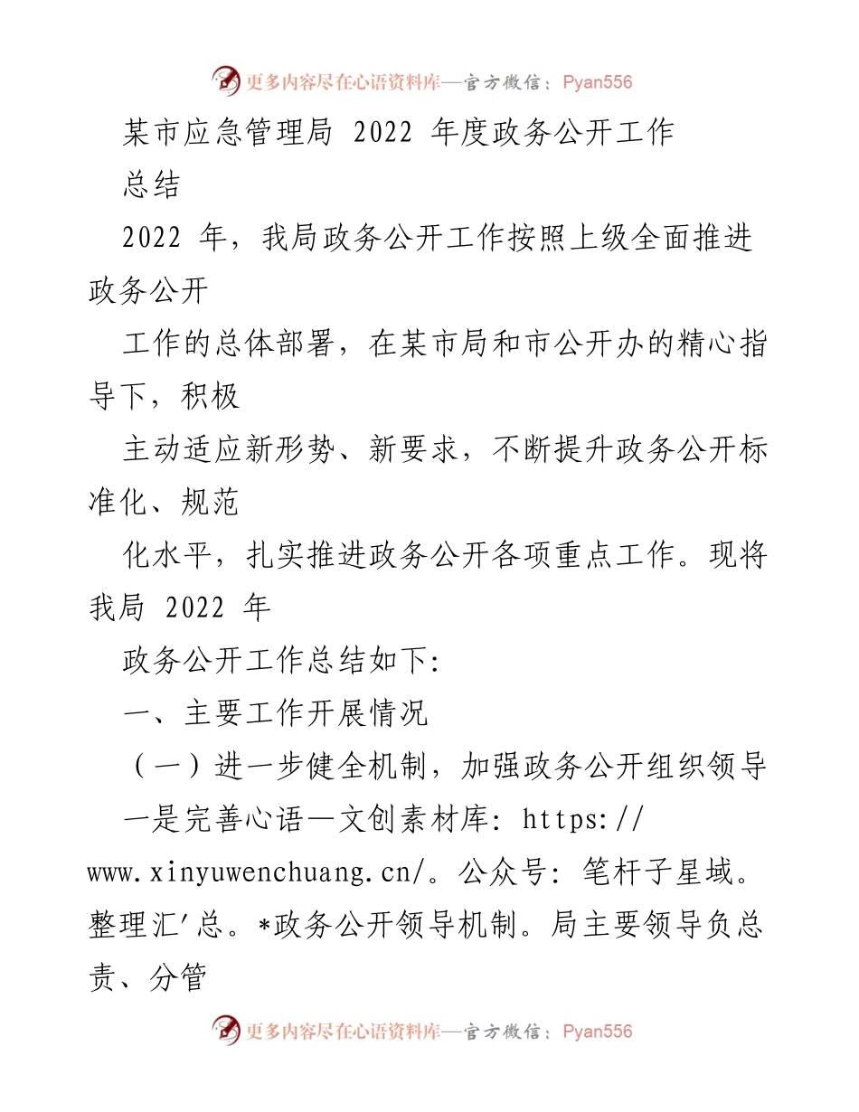 [工作总结] 政务公开 - 2022年度某市应急管理局政务公开工作总结.docx_第1页