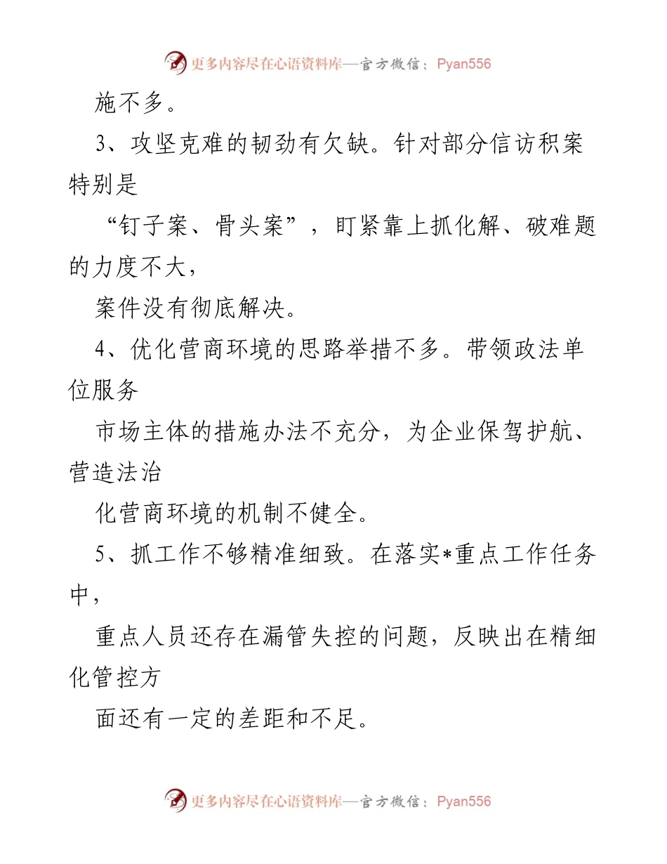 [工作总结] 政法委巡视巡察整改民主生活会 - 政法委巡视整改意见汇总与改进建议.docx_第2页