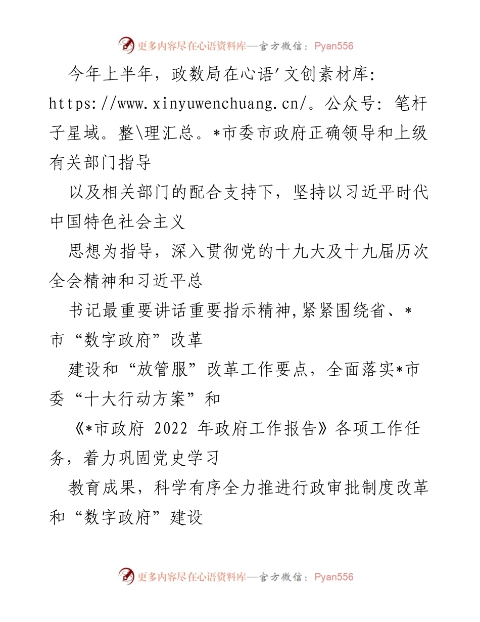 [工作总结] 政务服务 - 2023年上半年政数局工作总结及成效报告.docx_第1页