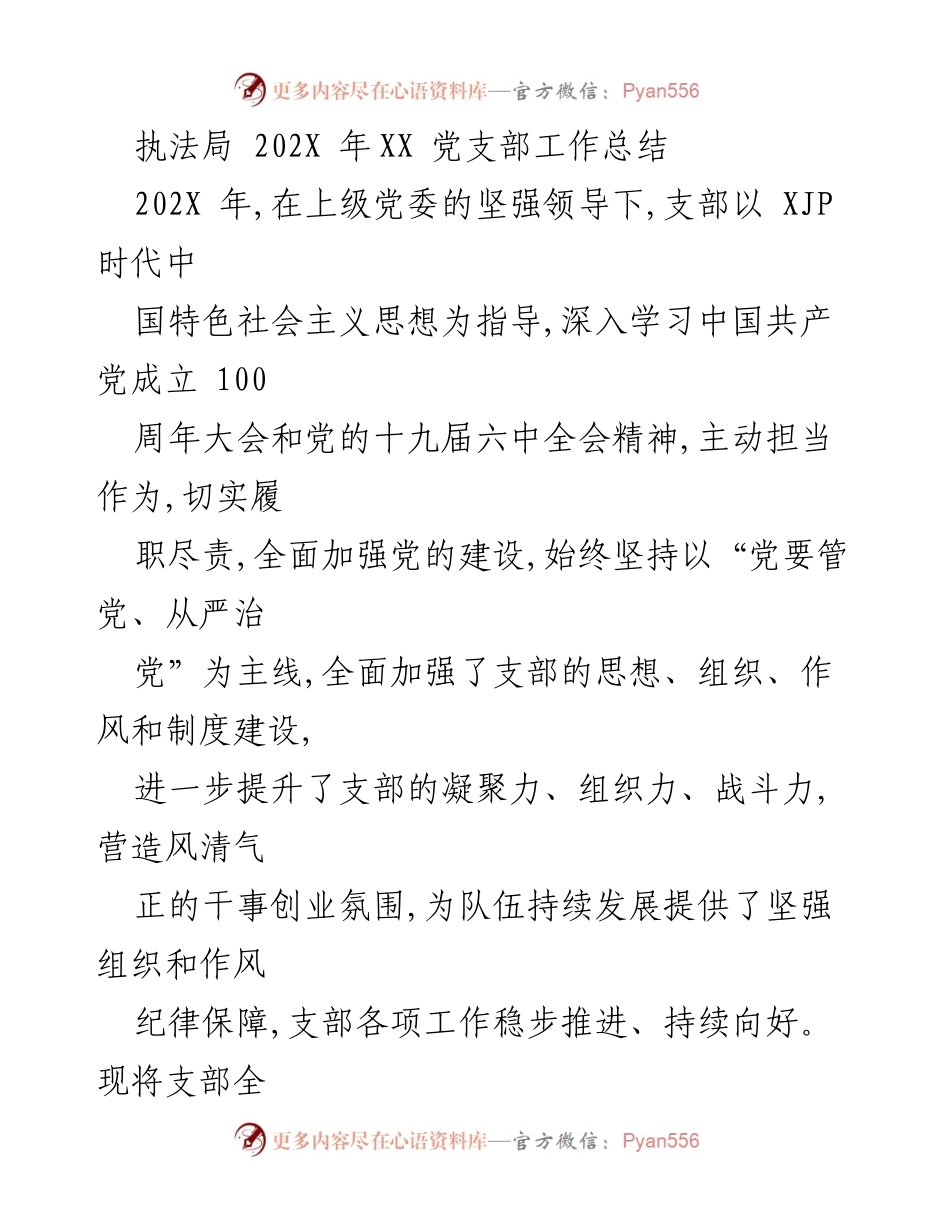 [工作总结] 执法局 202X 年度 - 党支部工作总结与发展规划.docx_第1页