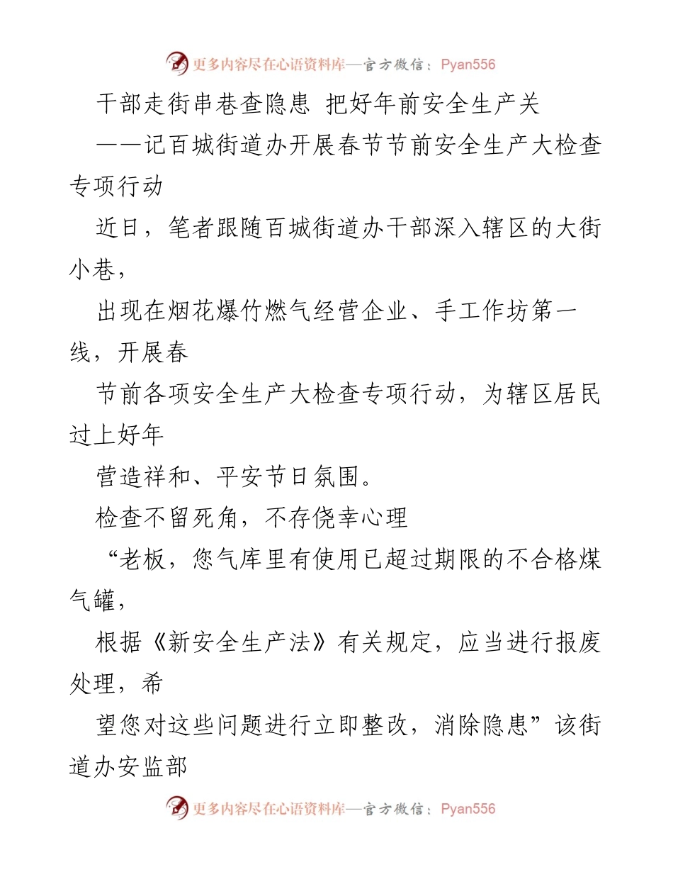 [工作总结] 春节安全生产大检查 - 百城街道办春节前安全生产大检查专项行动总结.docx_第1页