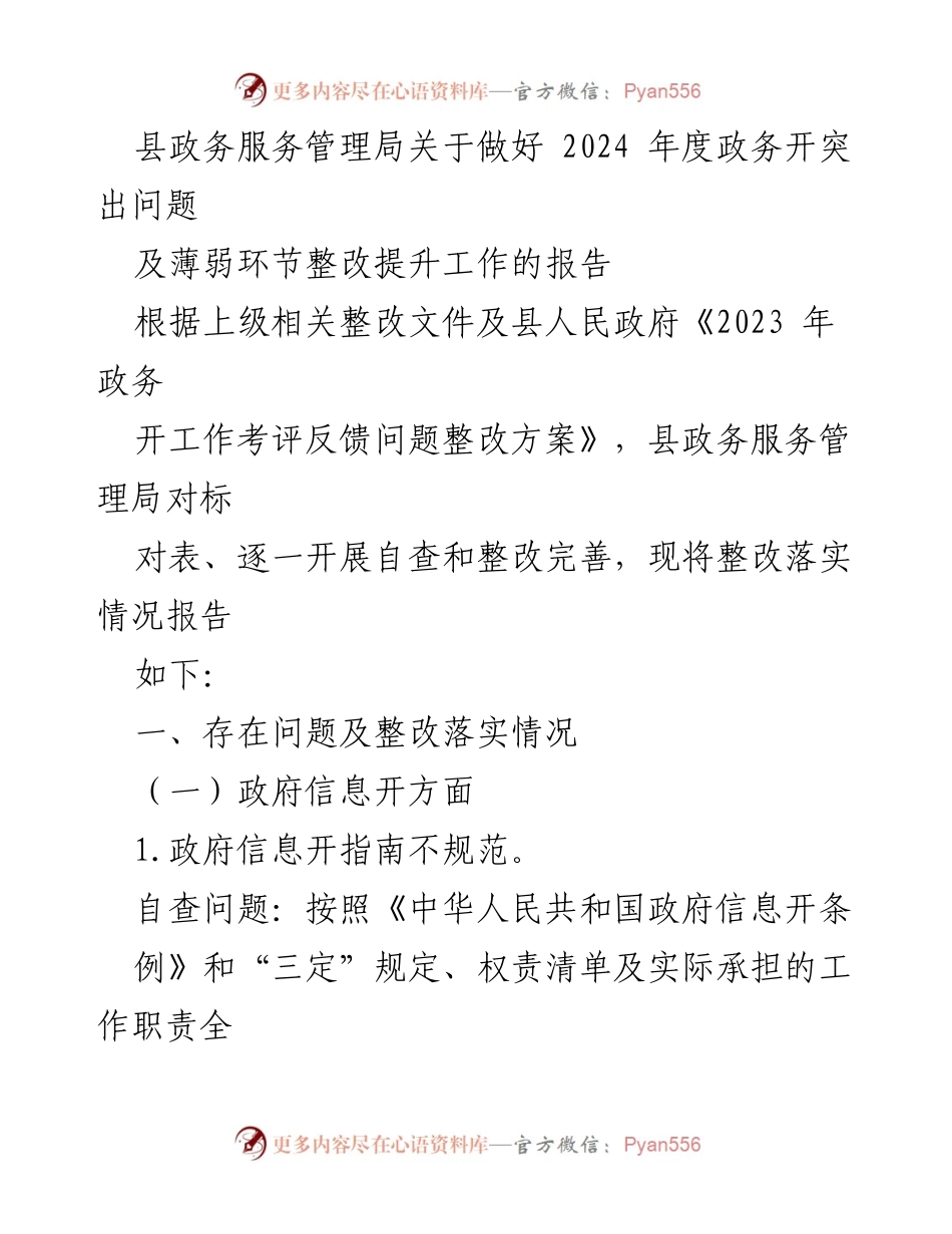 [工作总结] 政务服务管理局 - 2024年度政务公开整改提升工作报告.docx_第1页