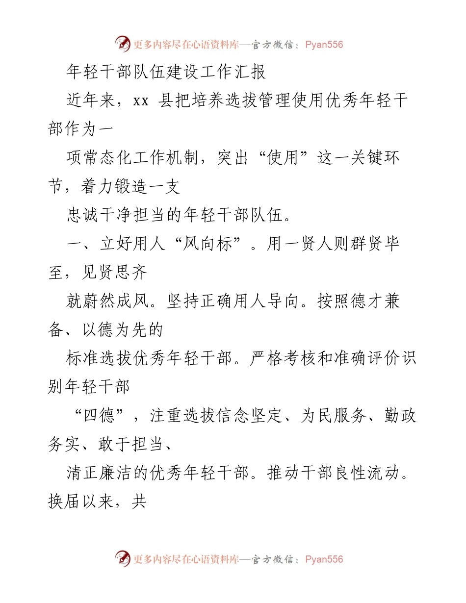 [工作总结] 年轻干部队伍建设 - 提升年轻干部队伍建设的策略与成效.docx_第1页