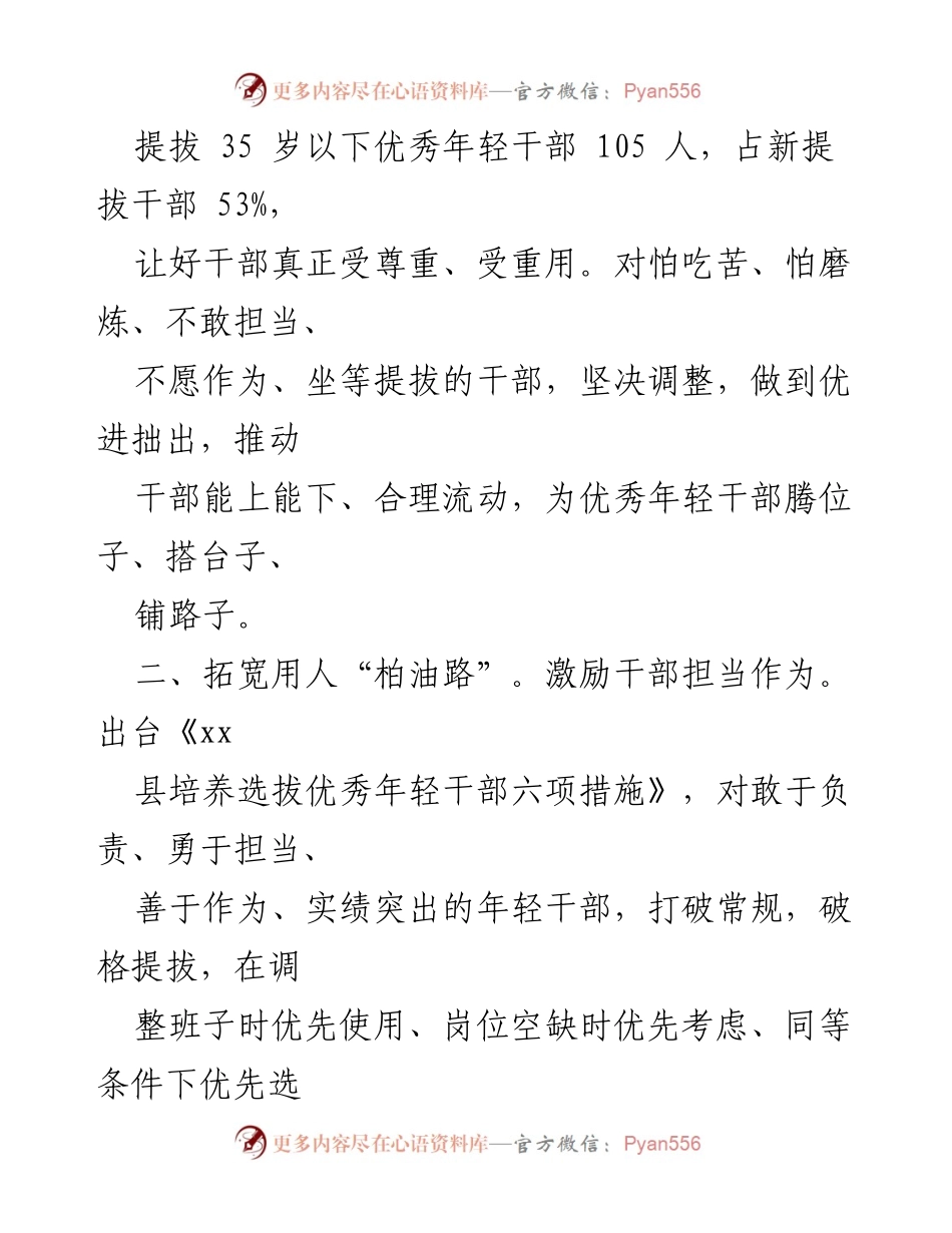 [工作总结] 年轻干部队伍建设 - 提升年轻干部队伍建设的策略与成效.docx_第2页