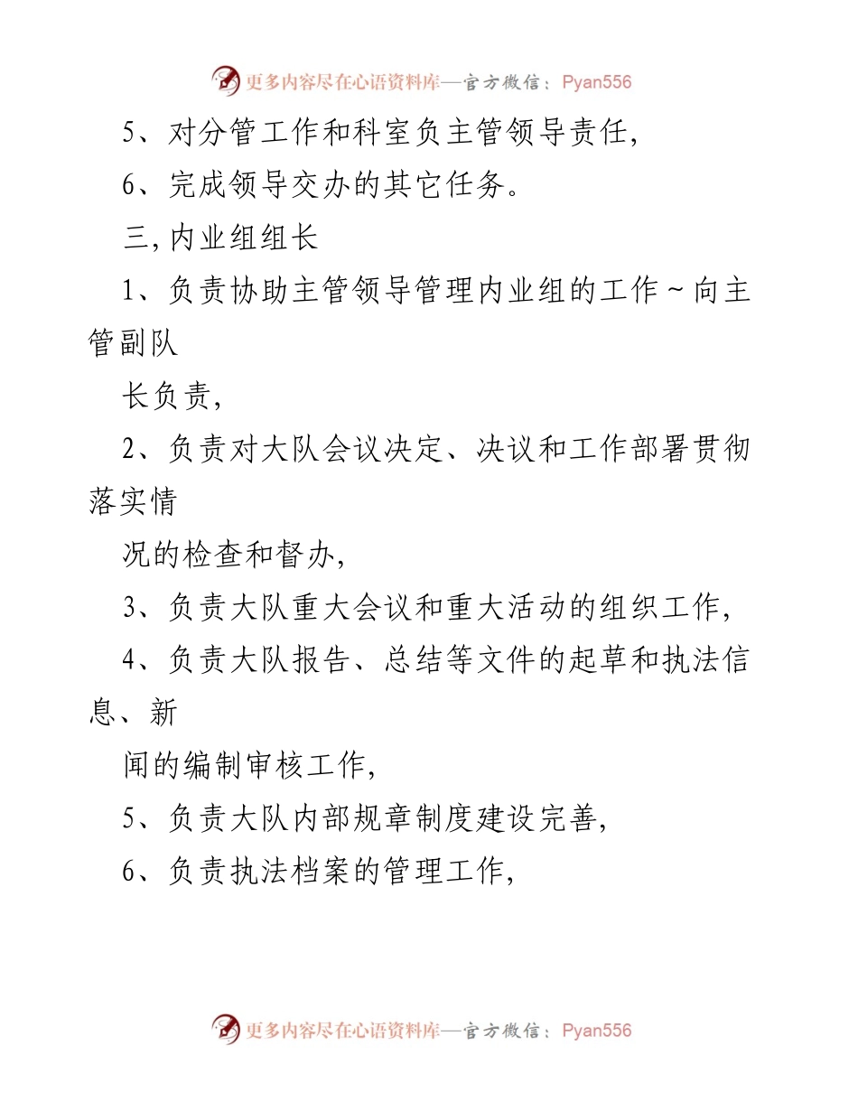 [工作总结] 执法队伍 - 执法队岗位职责概述.docx_第2页