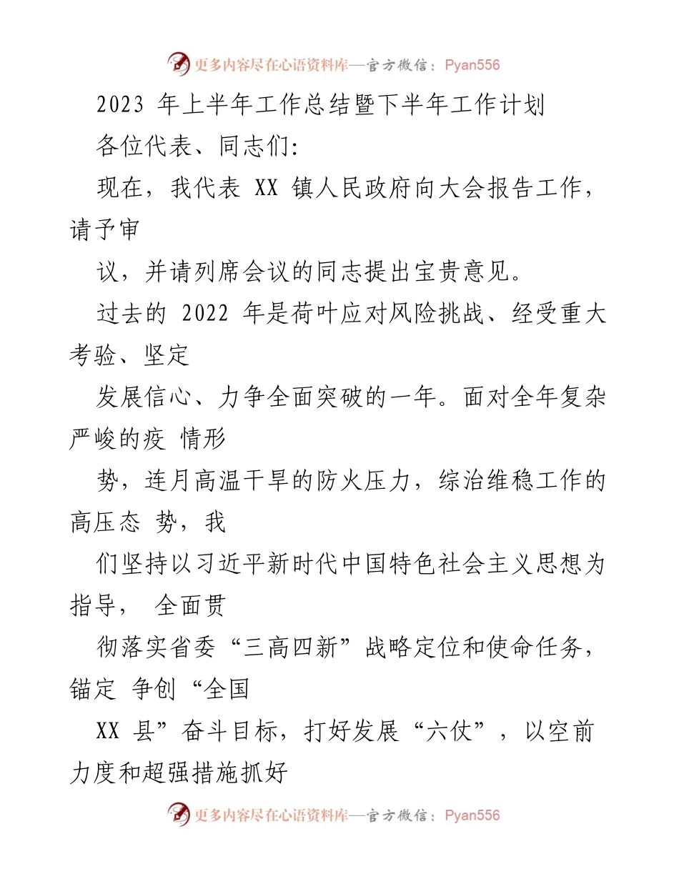 [工作总结] 政府会议 - 2023年上半年工作总结与下半年工作计划.docx_第1页
