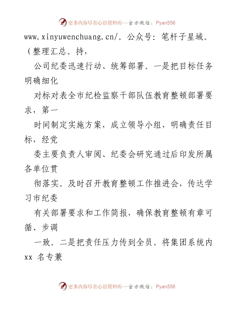 [工作总结] 教育整顿 - 国有企业教育整顿的实践经验与实施策略.docx_第2页