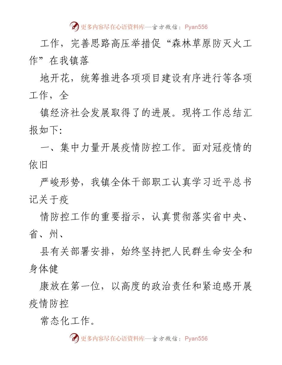 [工作总结] 政府工作 - 2021年X镇疫情防控及社会发展工作总结.docx_第2页