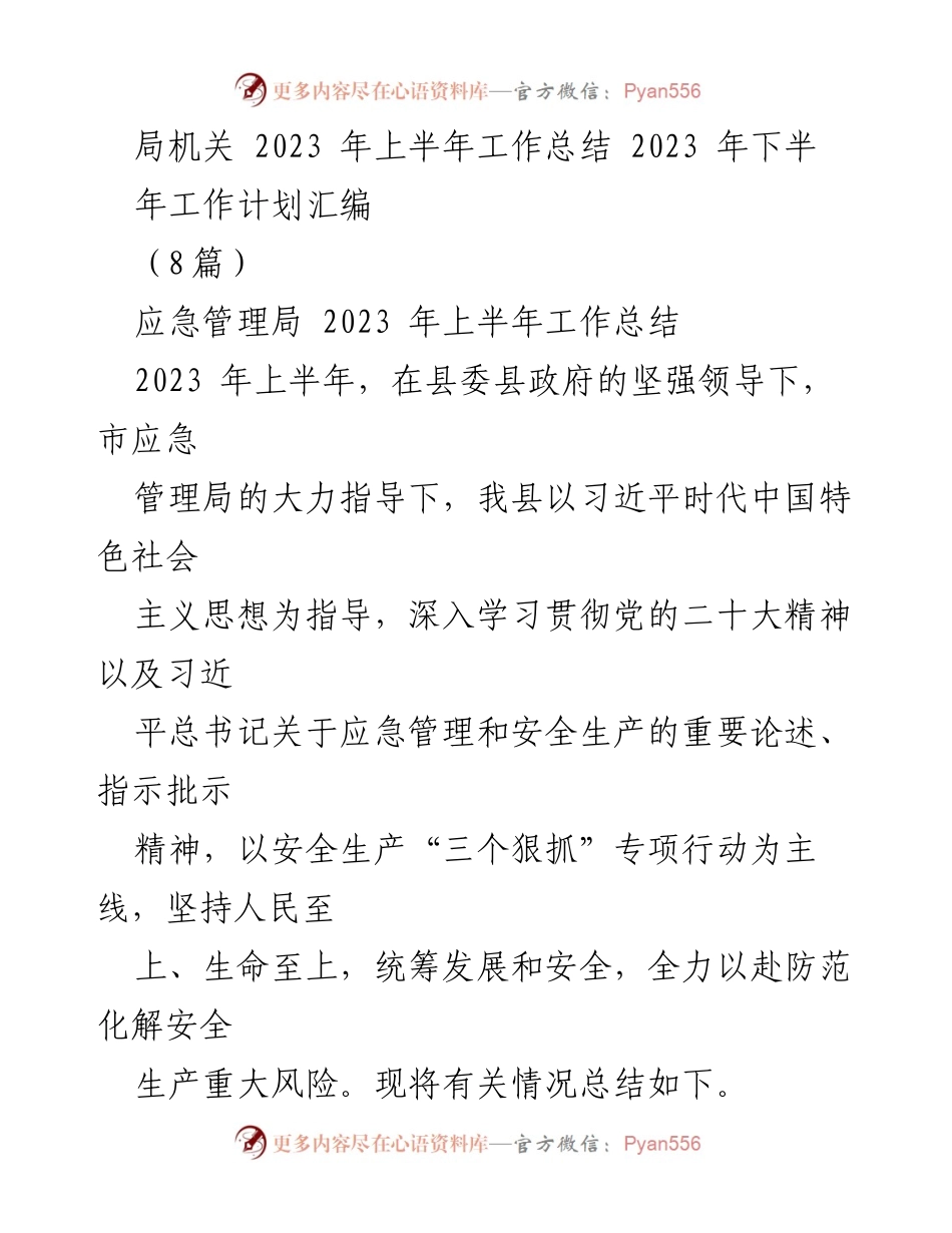 [工作总结] 应急管理局 - 2023年上半年安全生产工作总结与下半年计划.docx_第1页