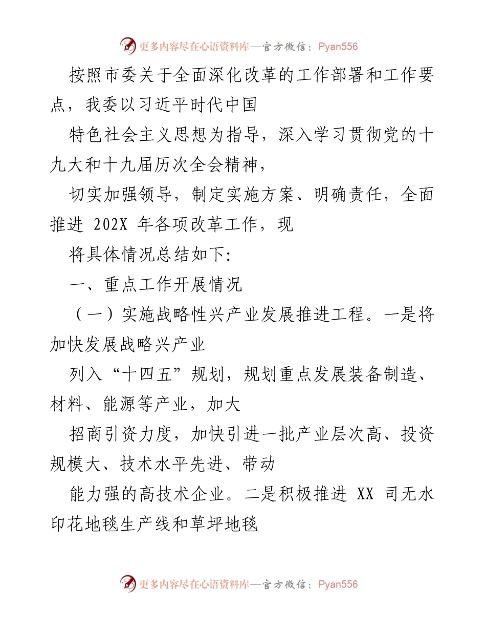 [工作总结] 政府改革推进 - 202X年全面深化改革工作总结报告.docx_第1页