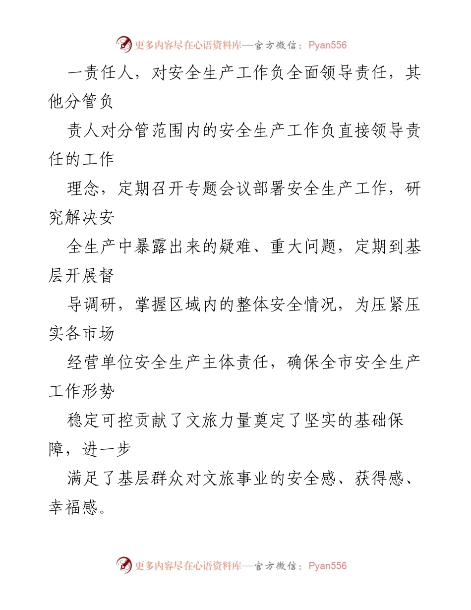 [工作总结] 文旅行业安全生产 - 市文旅行业安全生产工作总结与督导调研报告.docx_第2页