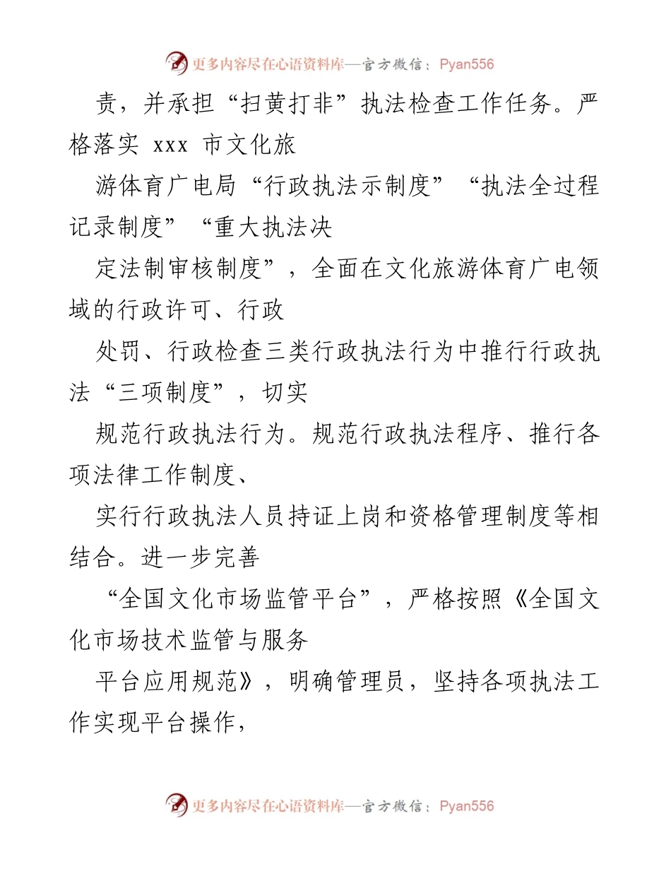 [工作总结] 文化市场执法 - xxx市上半年文化市场综合执法工作总结.docx_第2页