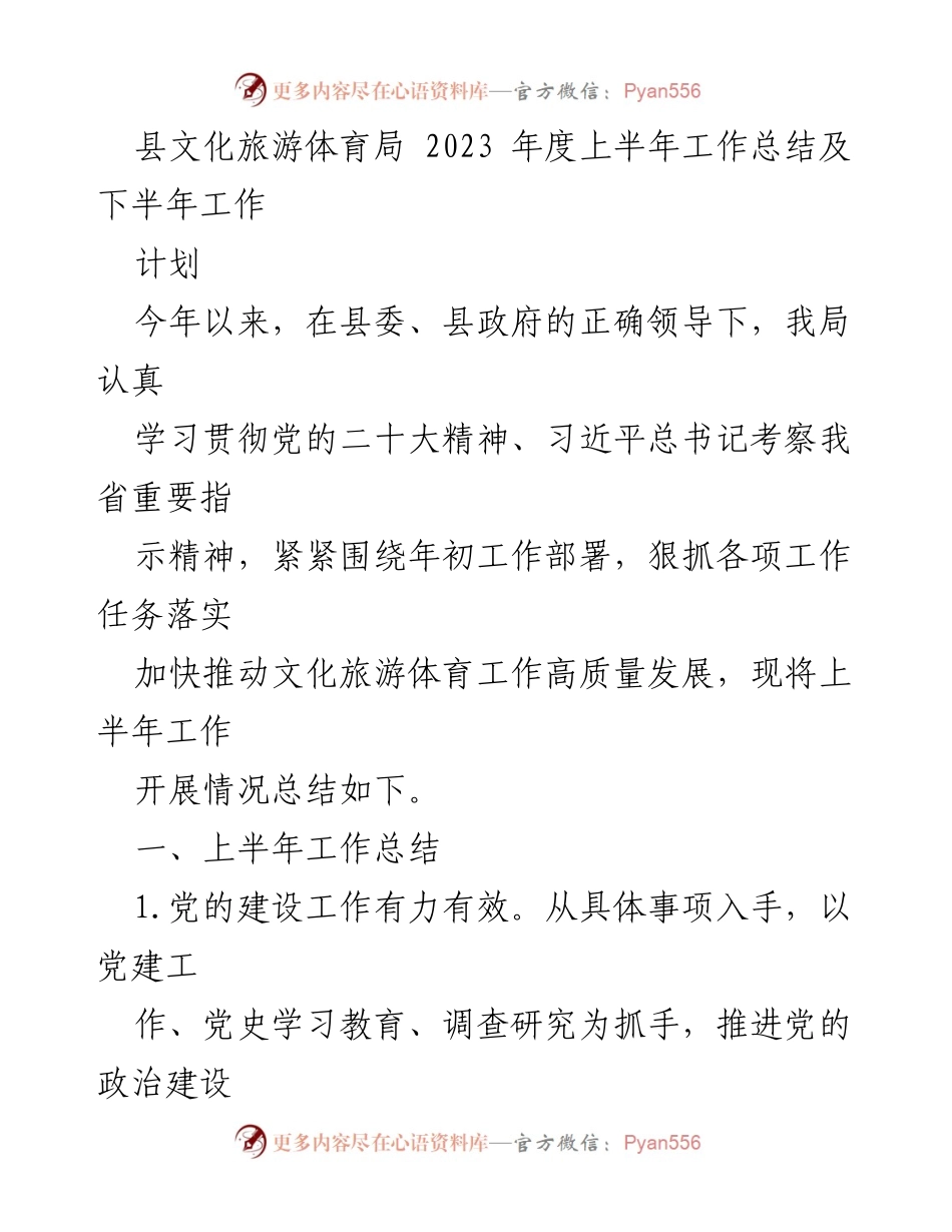 [工作总结] 文化旅游体育局 - 2023年度上半年工作总结及下半年工作计划_1.docx_第1页