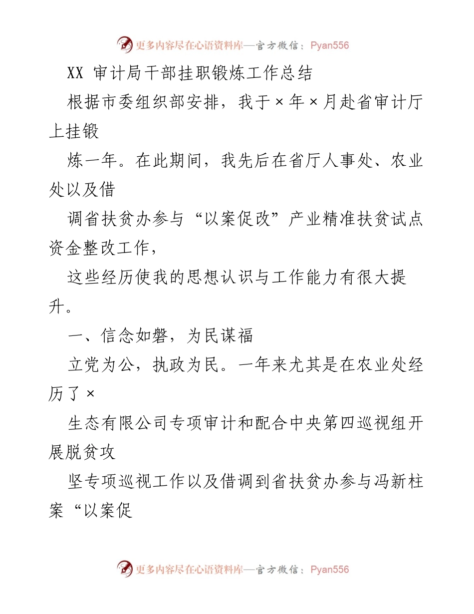 [工作总结] 挂职锻炼 - XX审计局干部挂职锻炼的经验与体会.docx_第1页