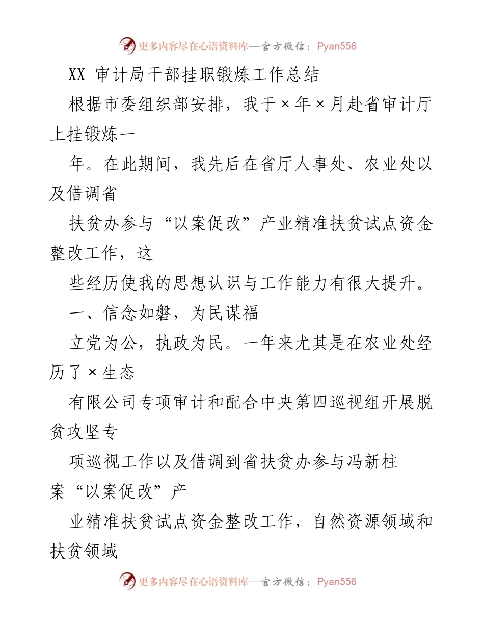 [工作总结] 挂职锻炼 - XX审计局干部挂职锻炼工作总结.docx_第1页