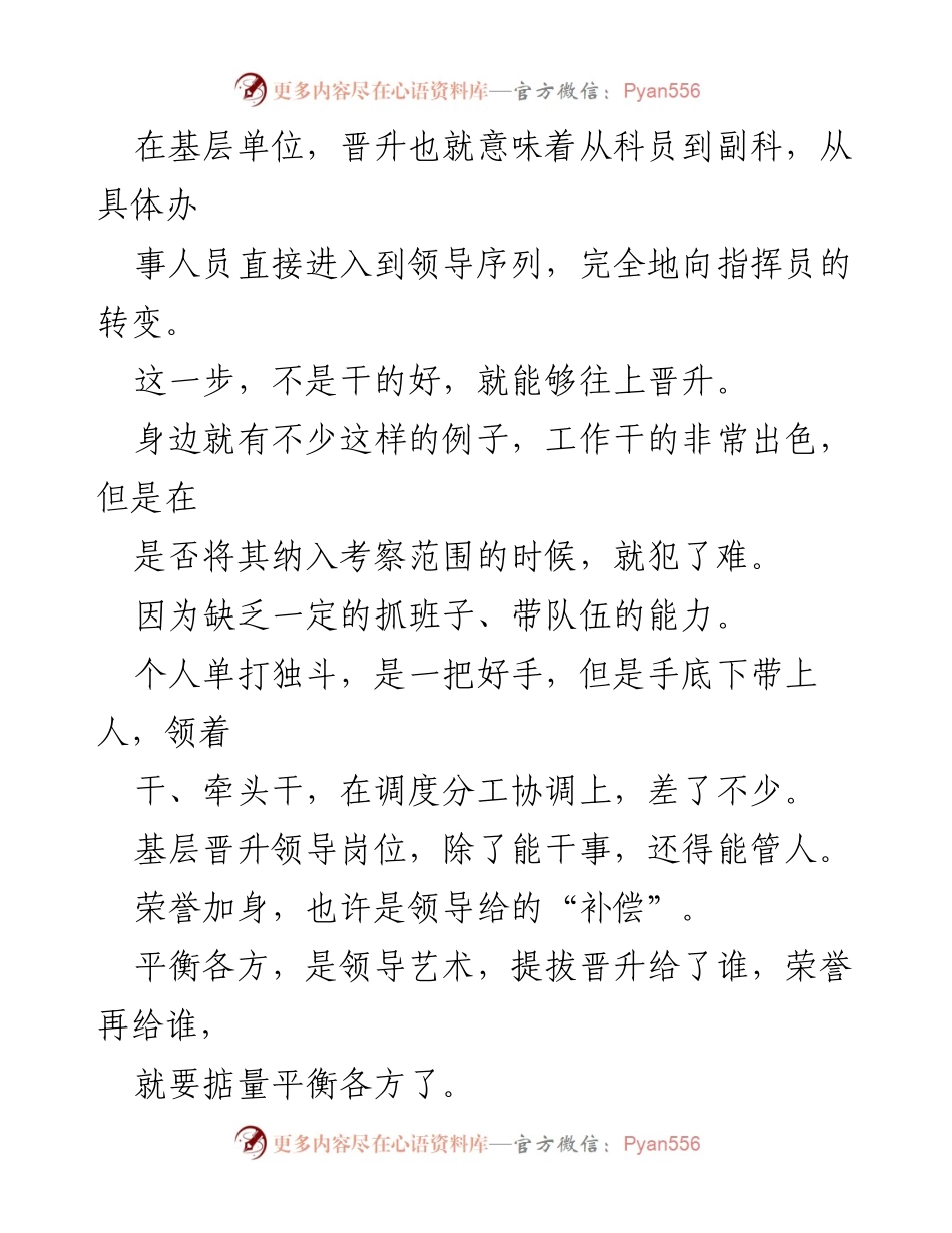[工作总结] 晋升困惑 - “能力与晋升：基层职场的平衡艺术”.docx_第2页