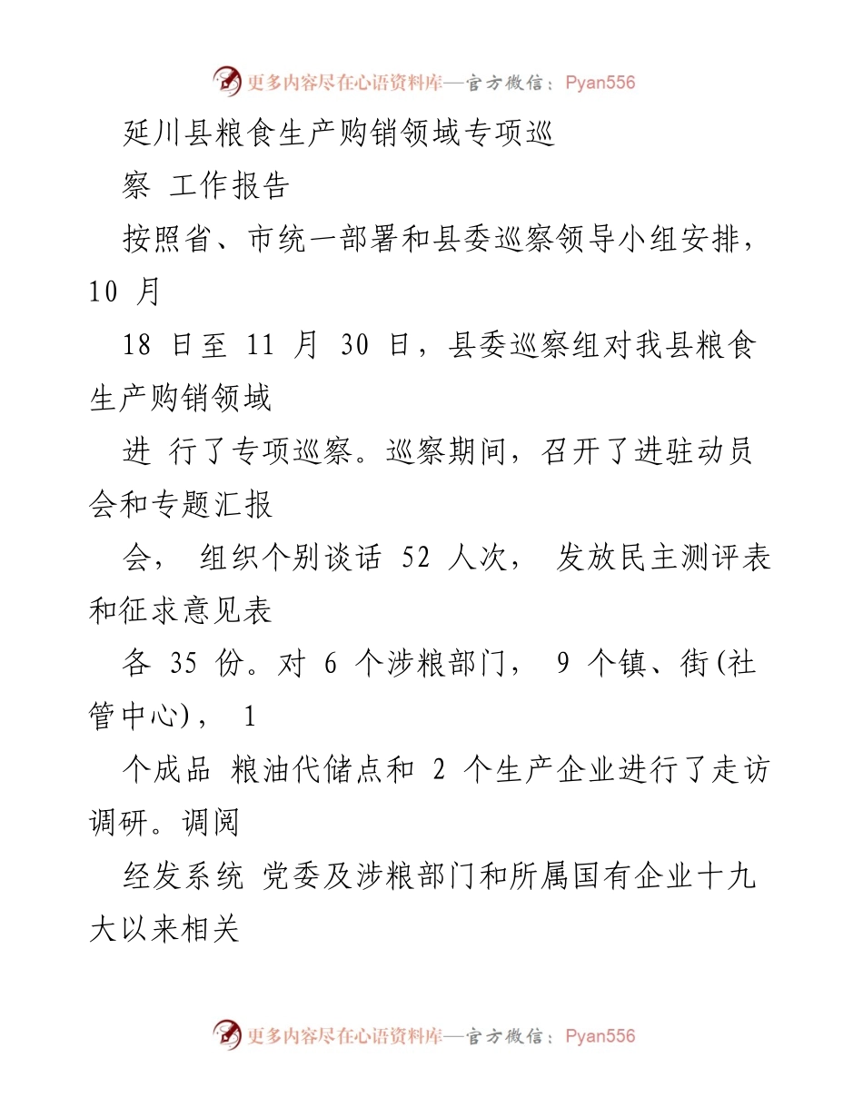 [工作总结] 延川县粮食生产购销领域 - 延川县粮食生产购销领域专项巡察工作报告.docx_第1页