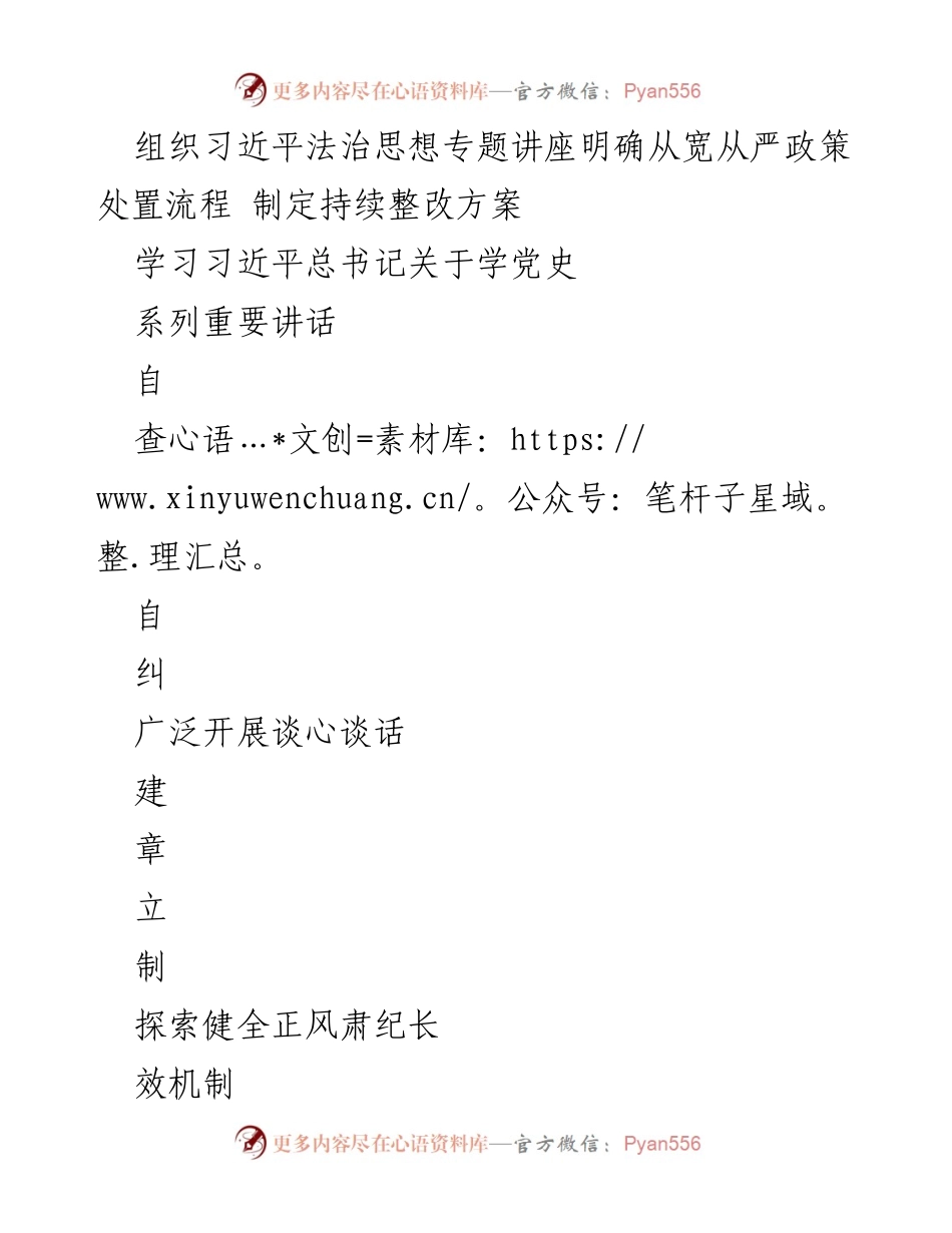 [工作总结] 政法队伍教育整顿 - 政法队伍教育整顿工作流程概述.docx_第2页