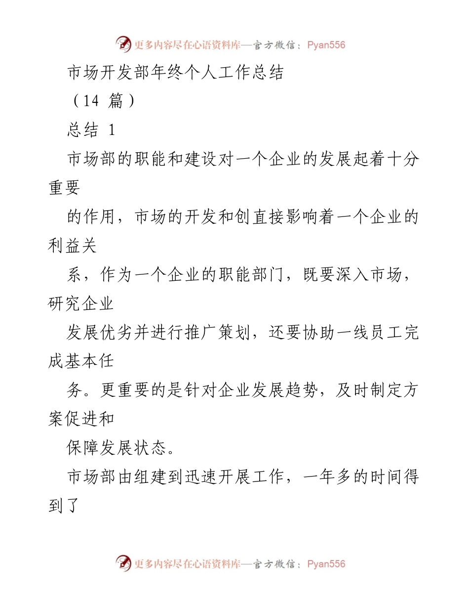 [工作总结] 年终总结 - 市场开发部年度工作成就与发展策略.docx_第1页
