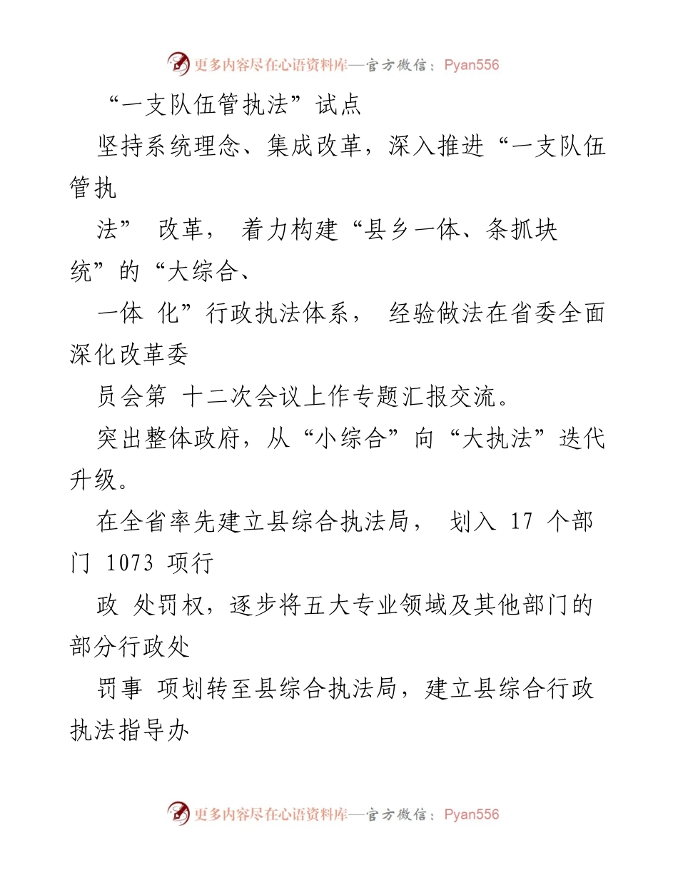 [工作总结] 政府改革会议 - 深入推进“一支队伍管执法”改革经验总结.docx_第1页