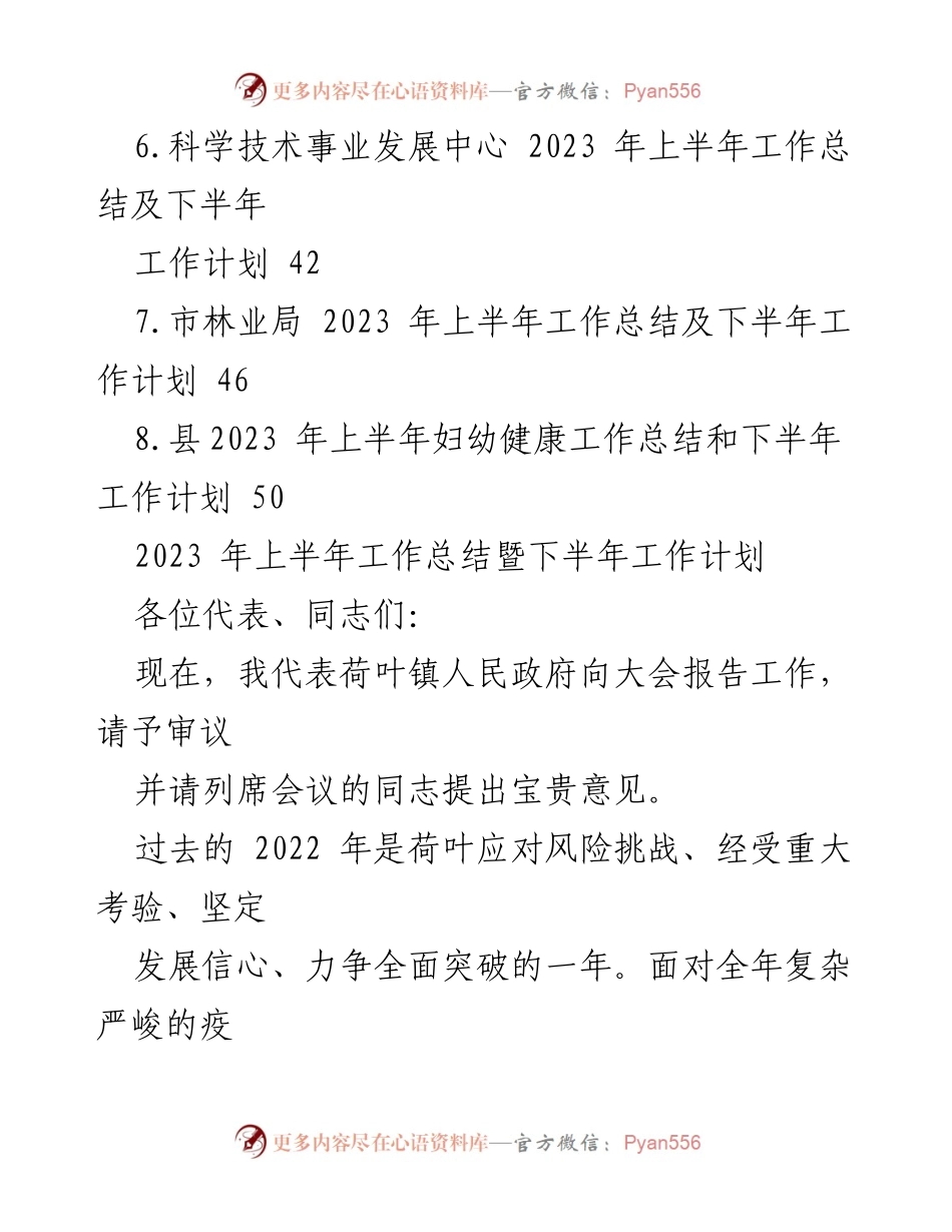 [工作总结] 政府会议 - 2023年上半年工作总结与下半年工作计划报告.docx_第2页