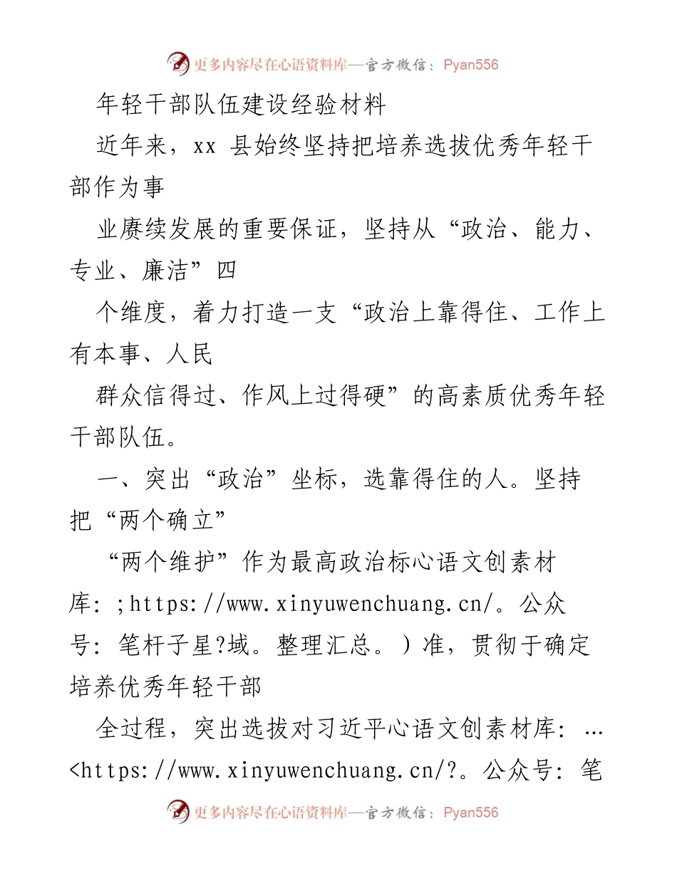 [工作总结] 年轻干部队伍建设 - 优秀年轻干部培养选拔经验总结_1.docx_第1页