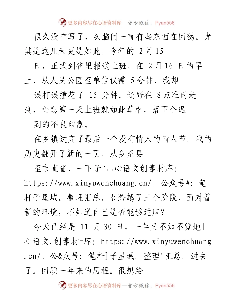 [工作总结] 年终总结 - 一年适应与成长的反思.docx_第1页