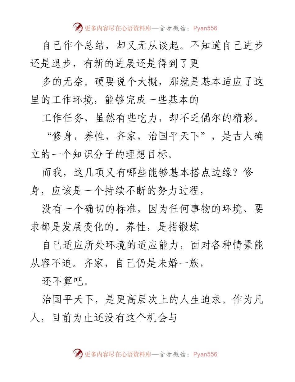 [工作总结] 年终总结 - 一年适应与成长的反思.docx_第2页