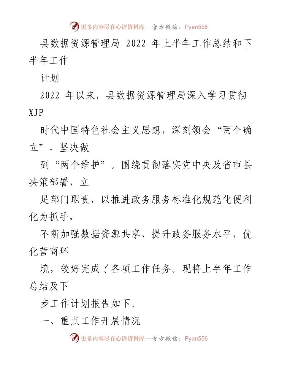 [工作总结] 数据资源管理局 - 2022年上半年工作总结与下半年工作计划.docx_第1页