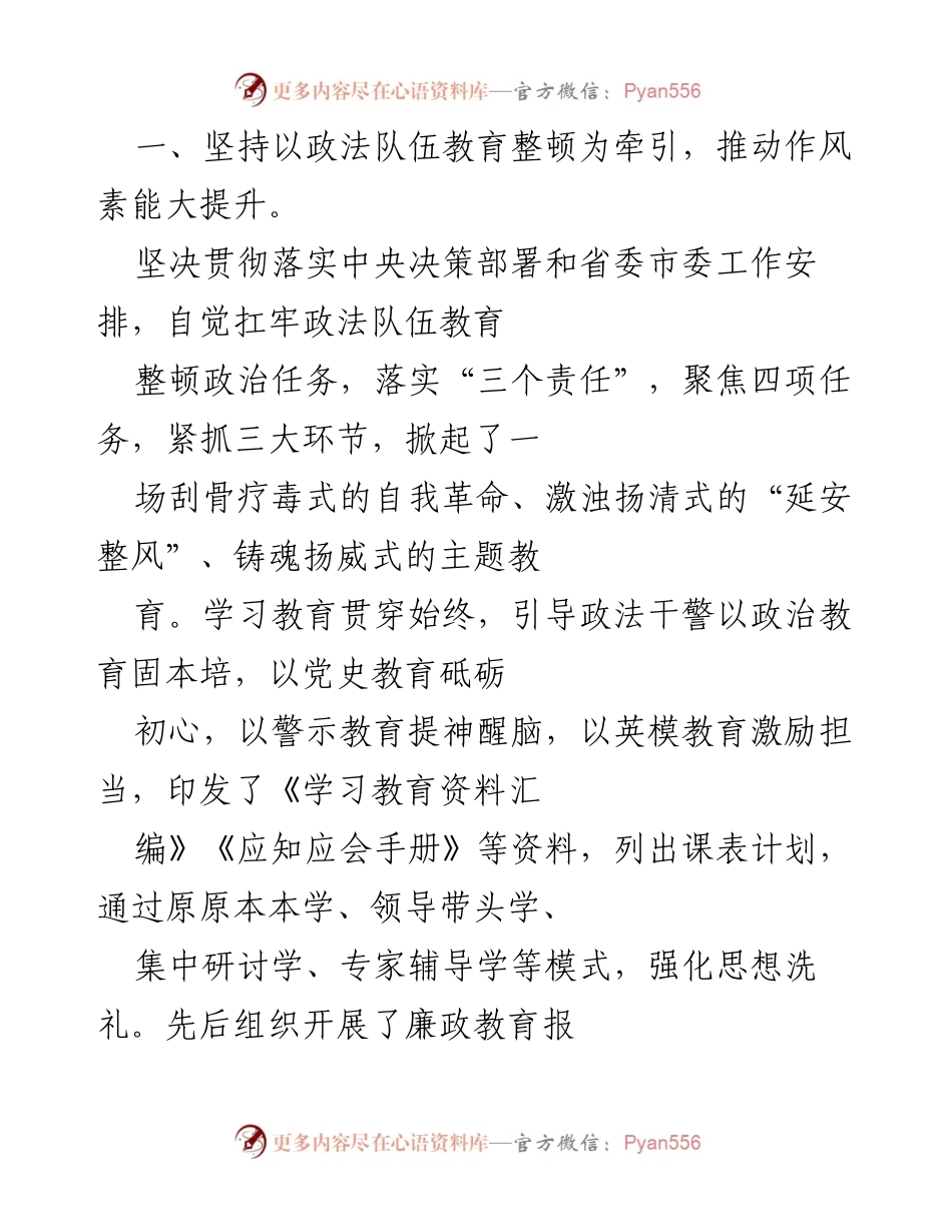 [工作总结] 政法工作 - 2021年政法工作总结与自查报告.docx_第2页