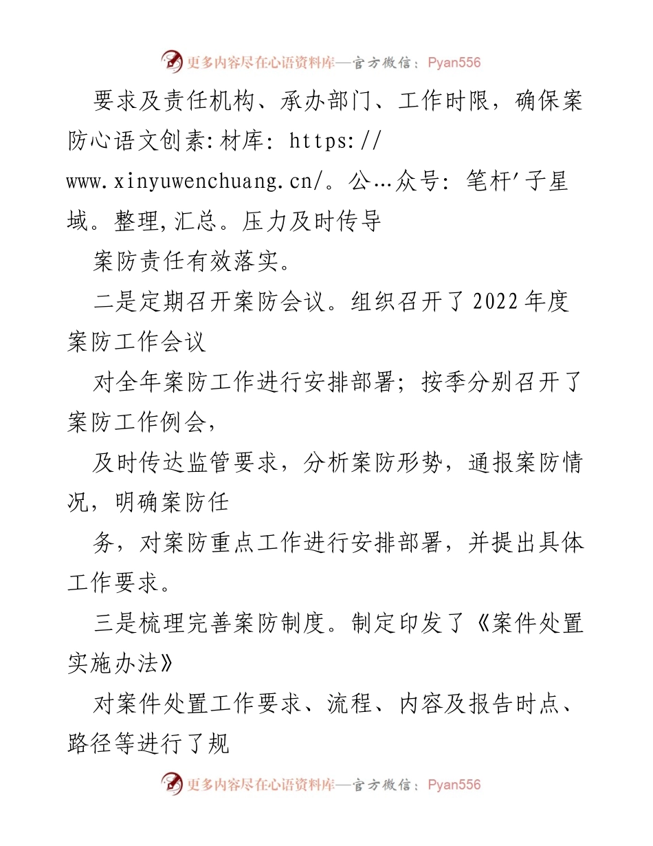 [工作总结] 年度案防工作 - 强化案防责任与制度执行，保障经营发展.docx_第2页