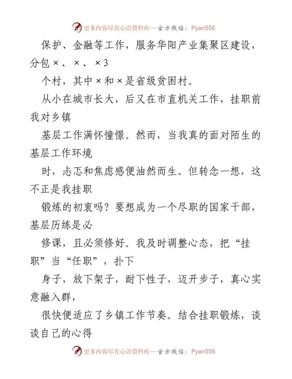 [工作总结] 挂职经历 - 从挂职到任职：我的乡镇工作心得与体会.docx_第2页