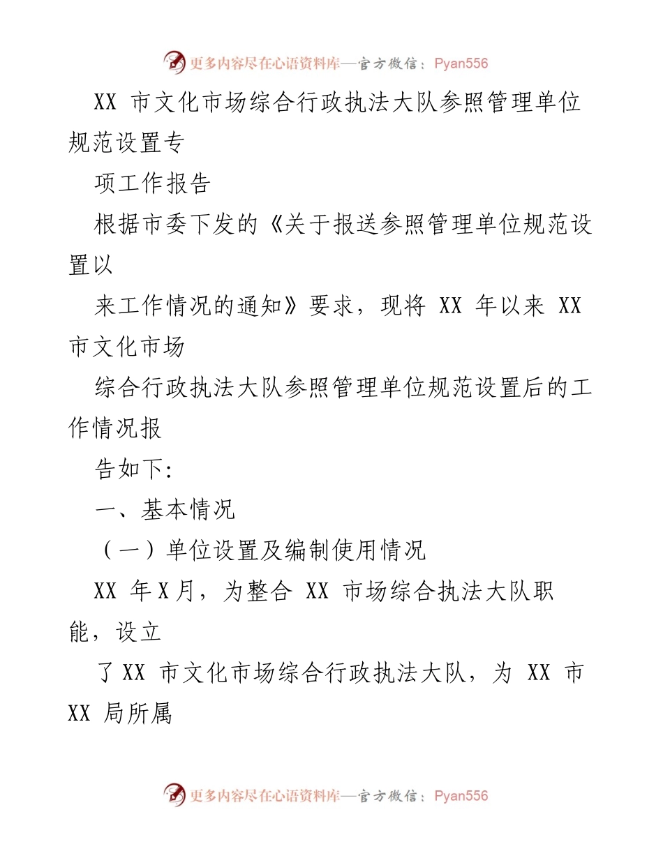 [工作总结] 文化市场执法 - XX市文化市场综合行政执法大队工作情况报告.docx_第1页