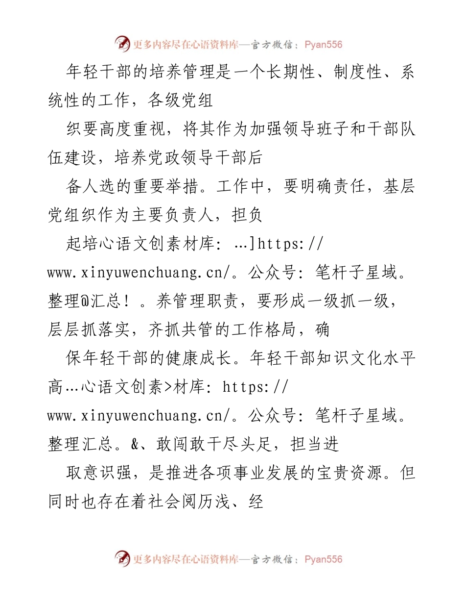 [工作总结] 年轻干部培养 - 加强年轻干部队伍建设的措施与实践.docx_第2页