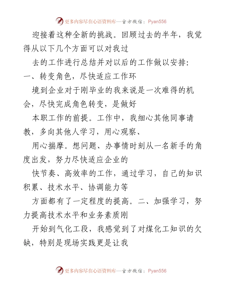 [工作总结] 年度总结 - 化工企业新员工工作总结与反思.docx_第2页