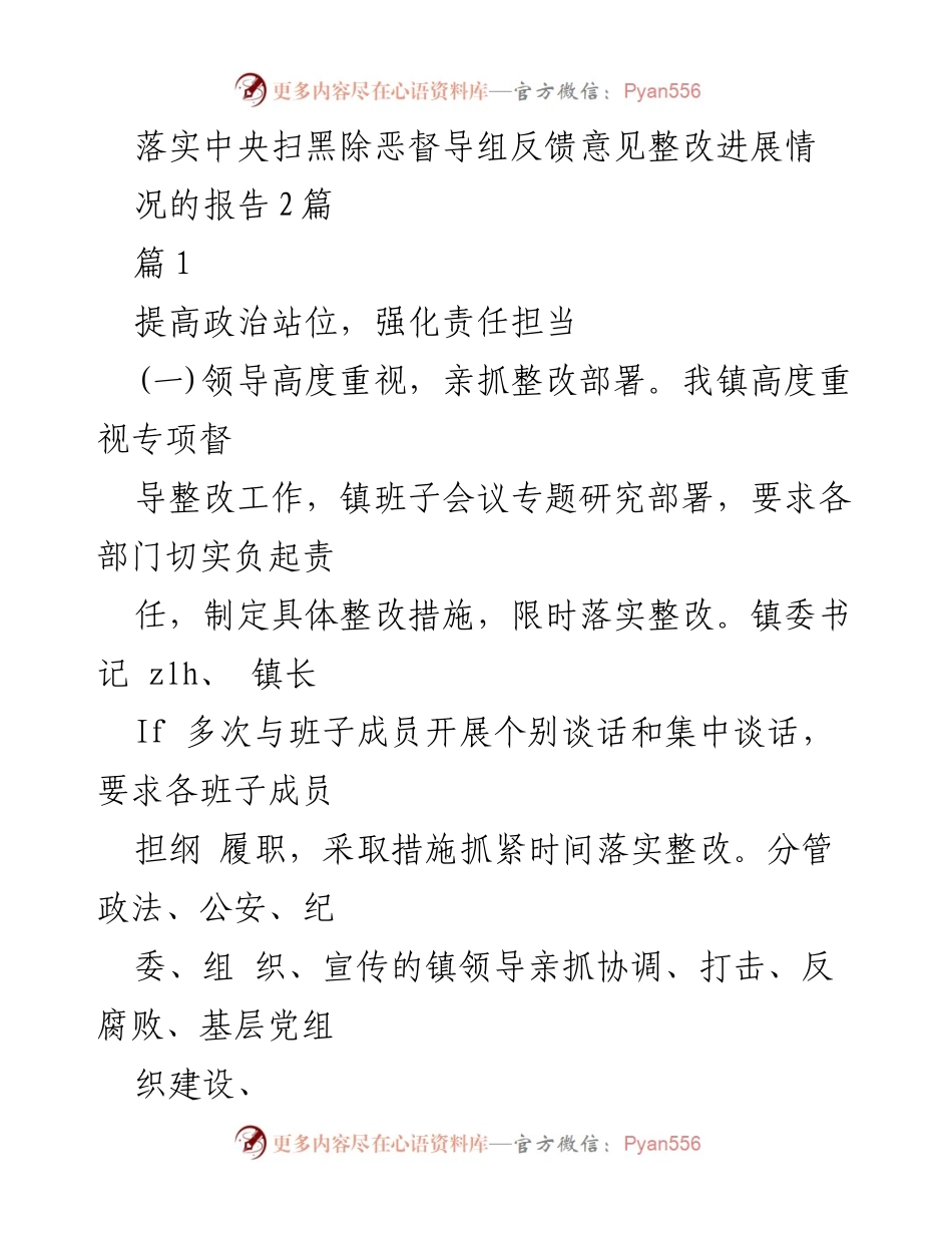 [工作总结] 执行整改 - 扫黑除恶专项斗争整改进展报告.docx_第1页