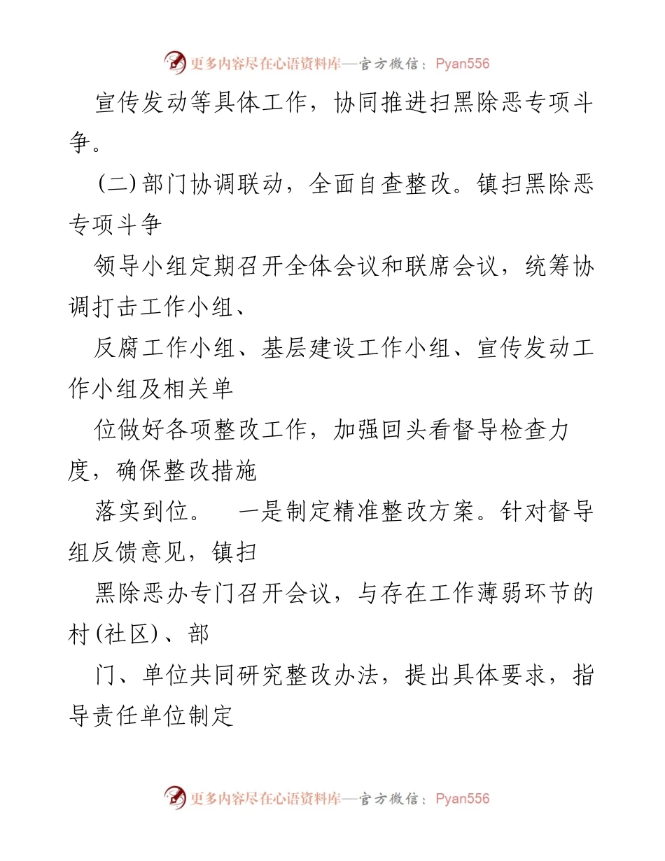 [工作总结] 执行整改 - 扫黑除恶专项斗争整改进展报告.docx_第2页
