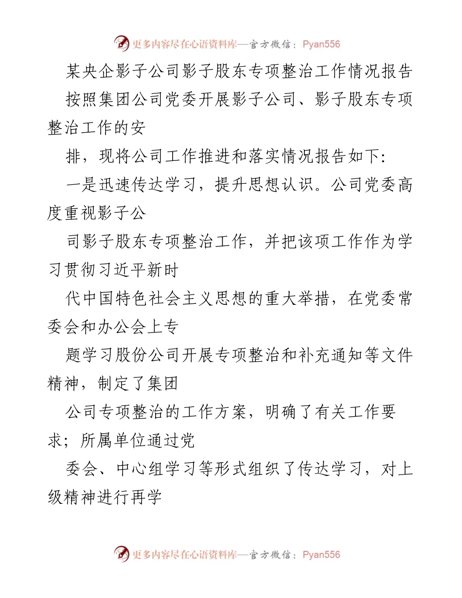[工作总结] 影子公司专项整治 - 影子股东专项整治工作推进情况报告.docx_第1页