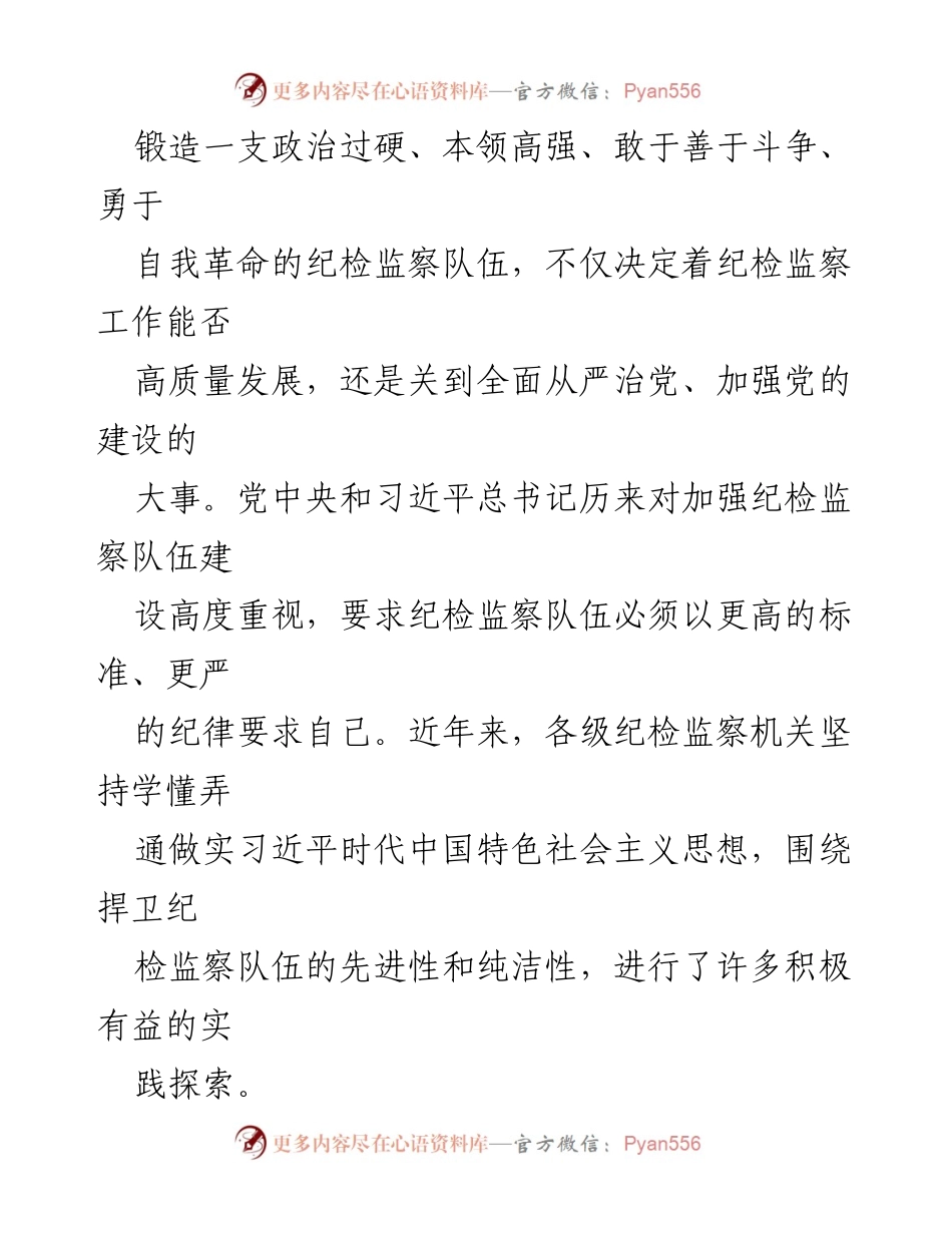 [工作总结] 强化纪检监察队伍建设与自我监督.docx_第2页
